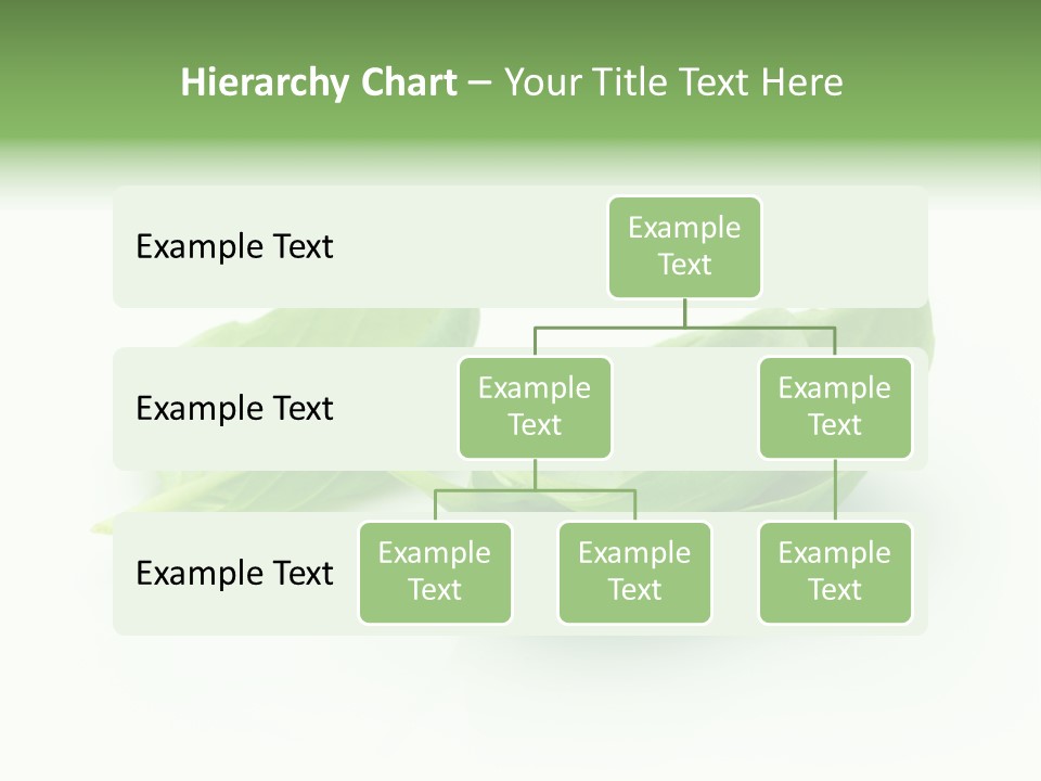 Herb Flavor Fresh PowerPoint Template