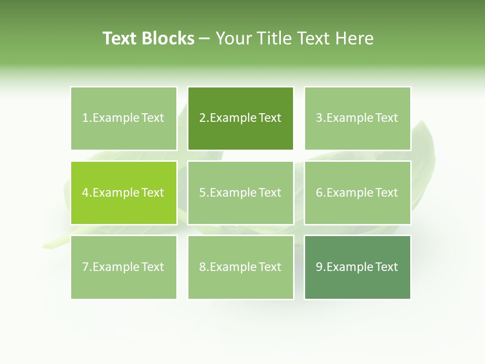 Herb Flavor Fresh PowerPoint Template