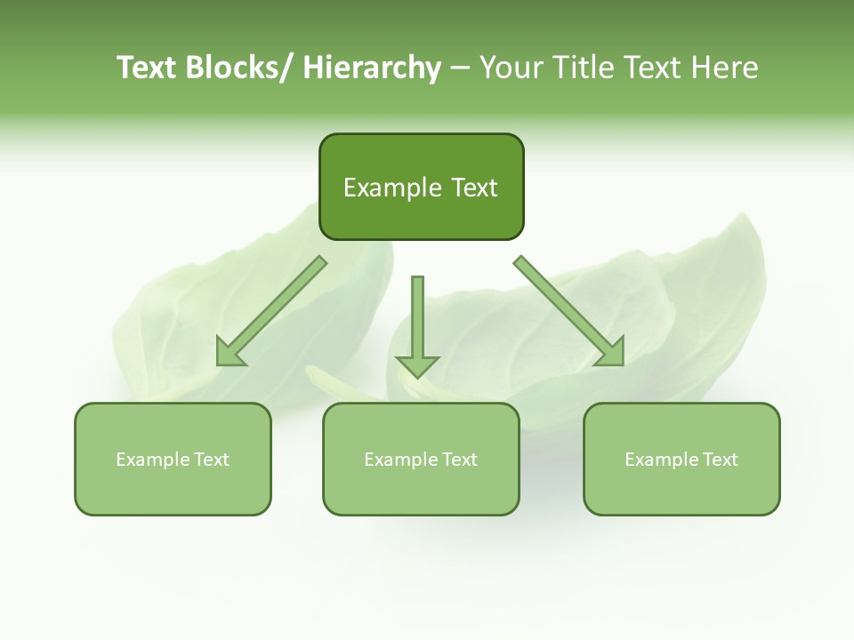 Herb Flavor Fresh PowerPoint Template