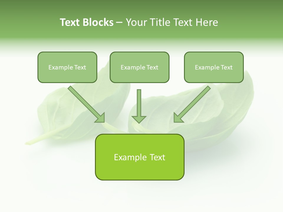 Herb Flavor Fresh PowerPoint Template