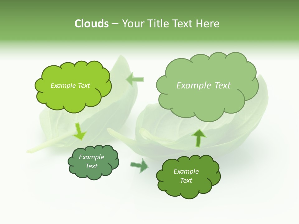Herb Flavor Fresh PowerPoint Template