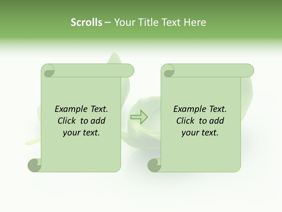 Herb Flavor Fresh PowerPoint Template