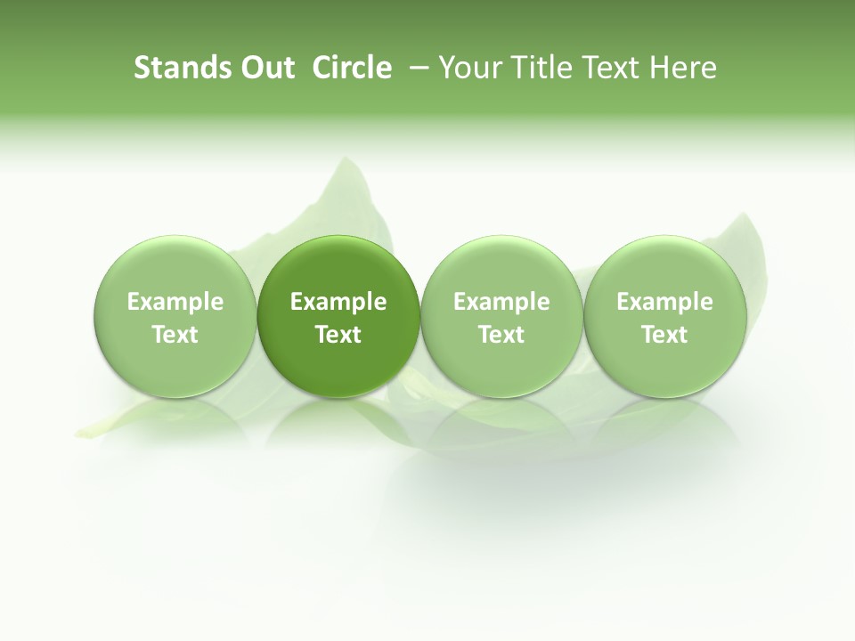 Herb Flavor Fresh PowerPoint Template