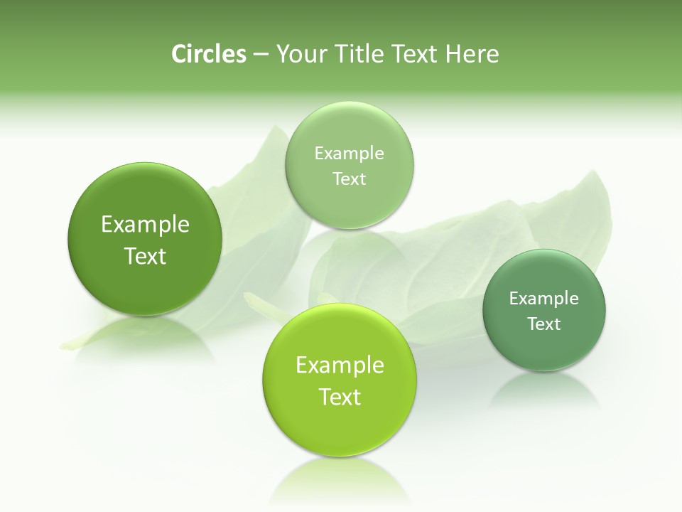 Herb Flavor Fresh PowerPoint Template