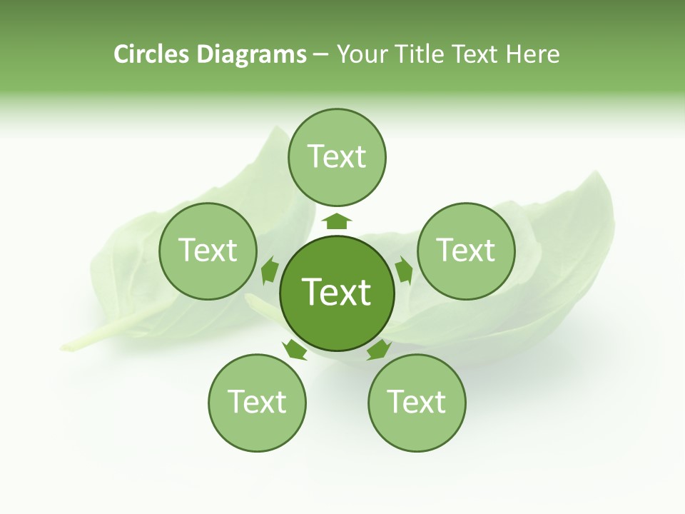 Herb Flavor Fresh PowerPoint Template