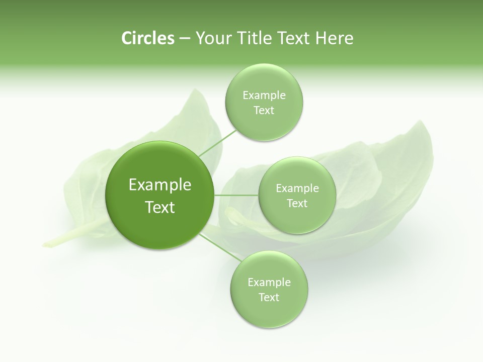 Herb Flavor Fresh PowerPoint Template