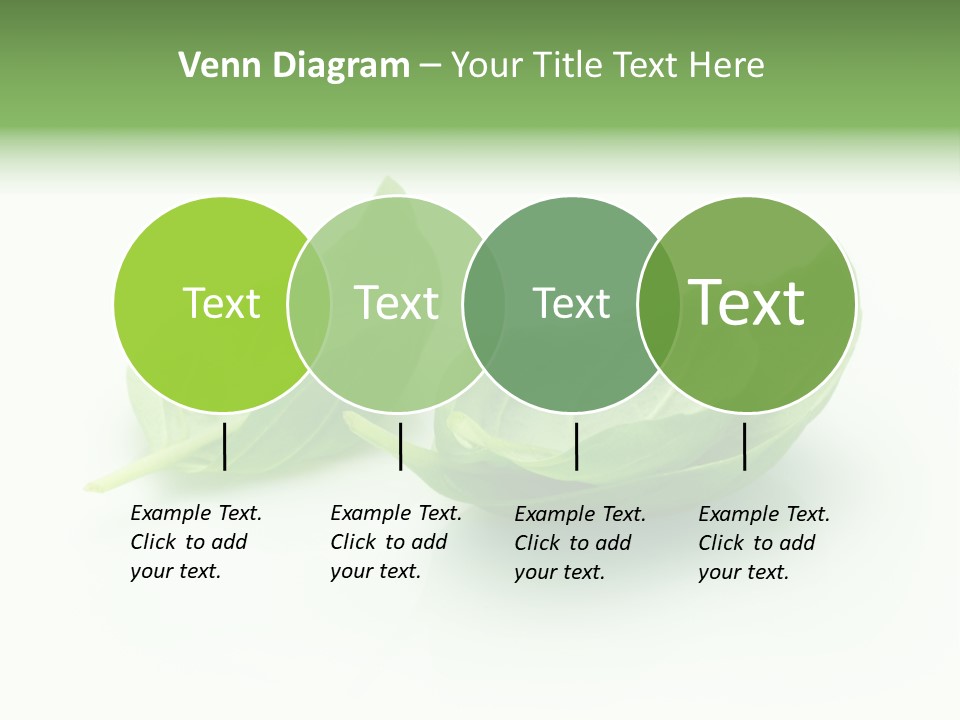 Herb Flavor Fresh PowerPoint Template