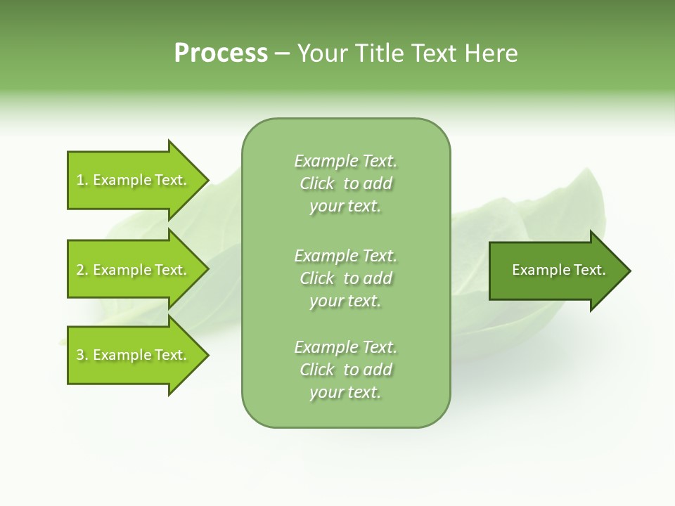 Herb Flavor Fresh PowerPoint Template