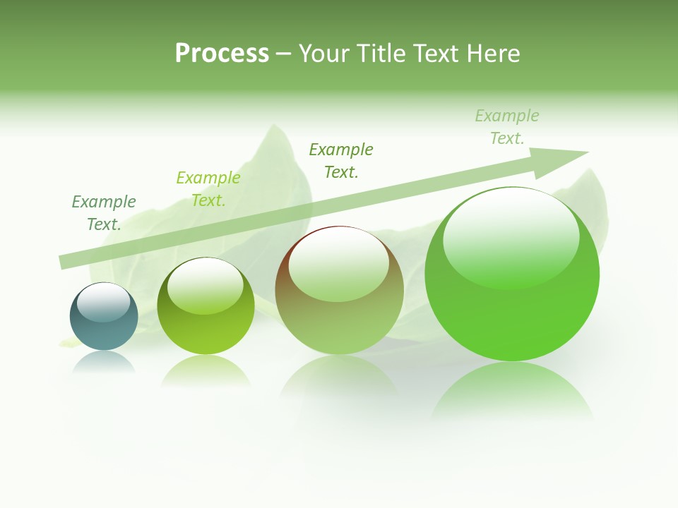 Herb Flavor Fresh PowerPoint Template