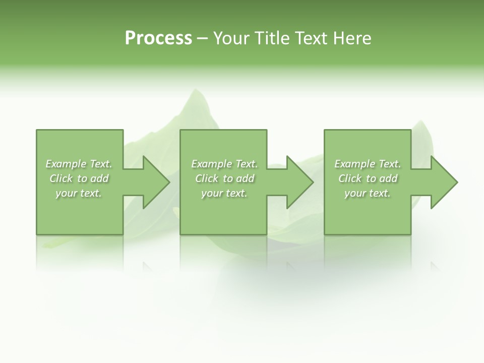 Herb Flavor Fresh PowerPoint Template