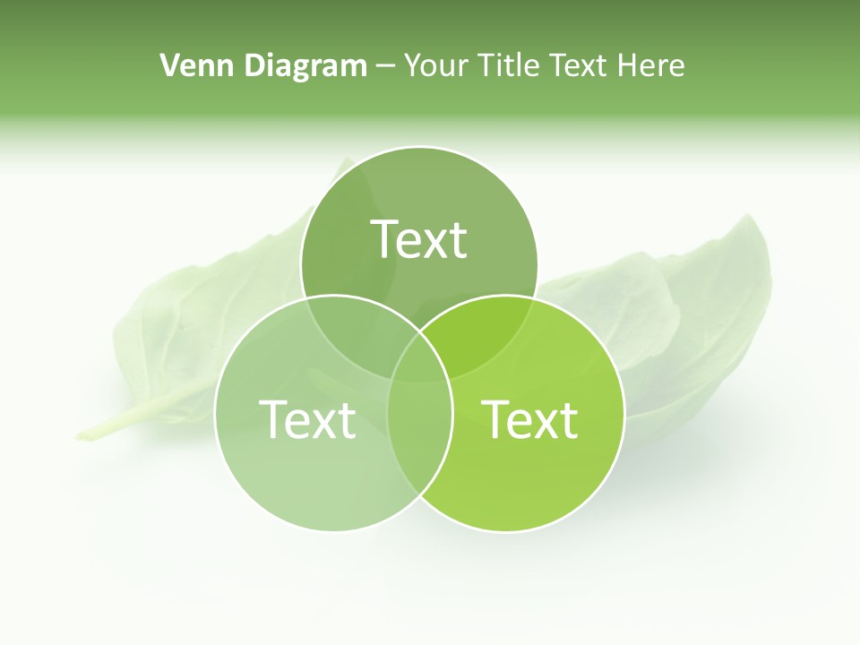 Herb Flavor Fresh PowerPoint Template