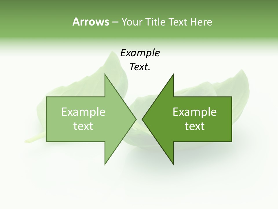 Herb Flavor Fresh PowerPoint Template