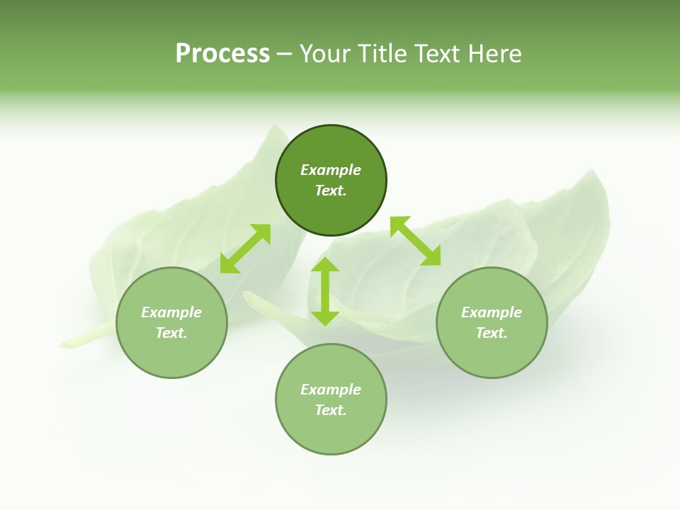 Herb Flavor Fresh PowerPoint Template