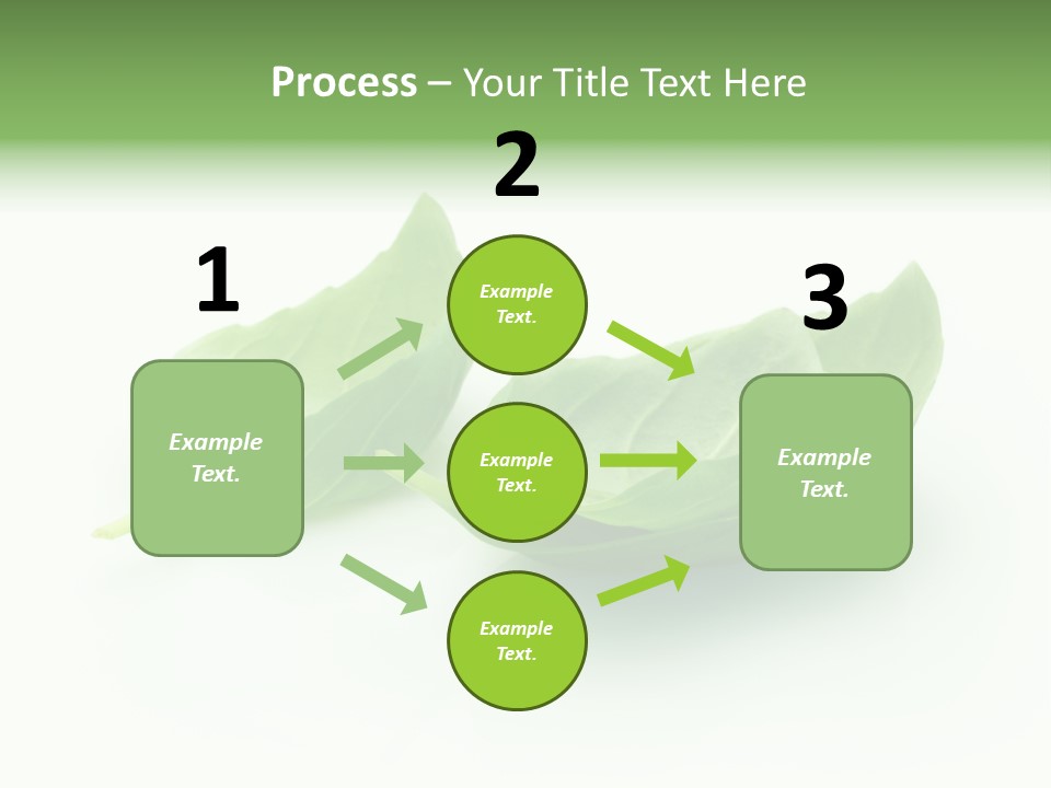 Herb Flavor Fresh PowerPoint Template