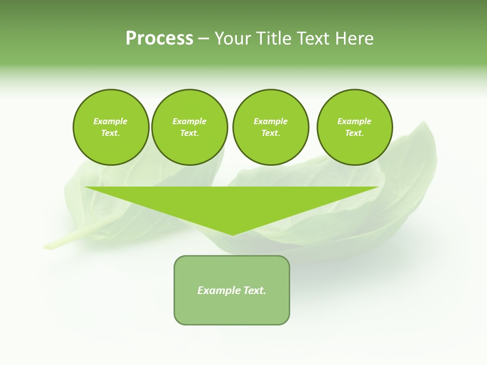 Herb Flavor Fresh PowerPoint Template