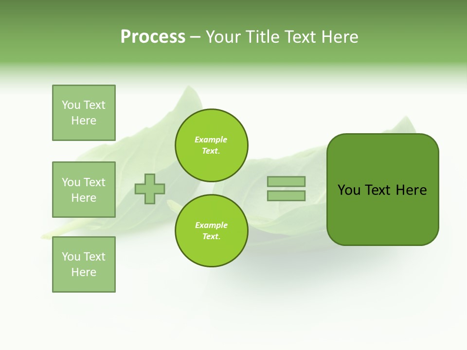 Herb Flavor Fresh PowerPoint Template