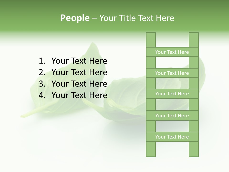 Herb Flavor Fresh PowerPoint Template