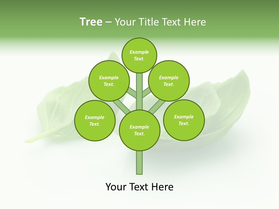 Herb Flavor Fresh PowerPoint Template