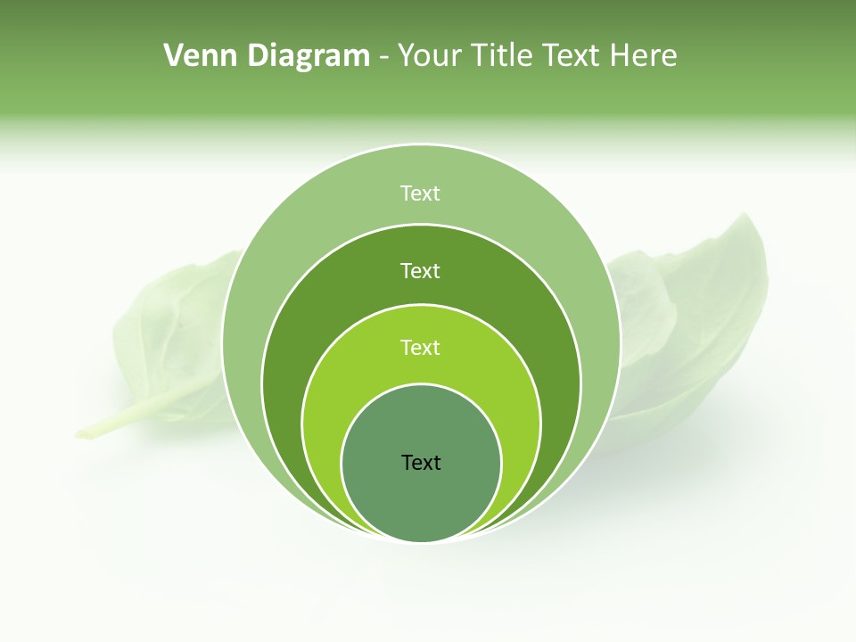 Herb Flavor Fresh PowerPoint Template