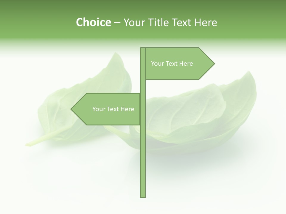 Herb Flavor Fresh PowerPoint Template