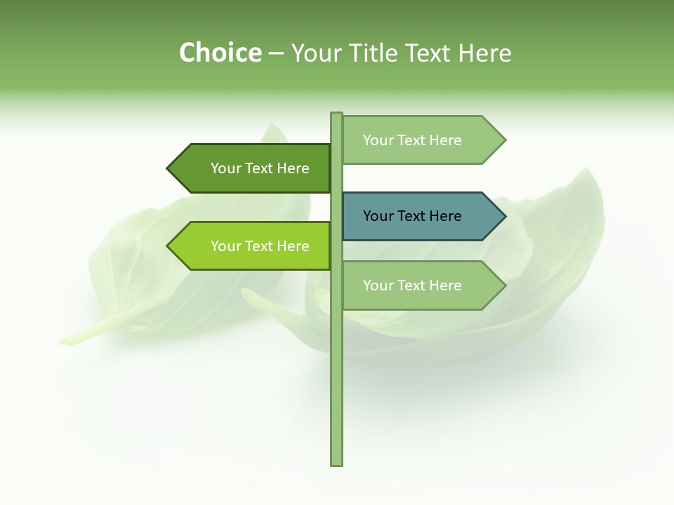 Herb Flavor Fresh PowerPoint Template
