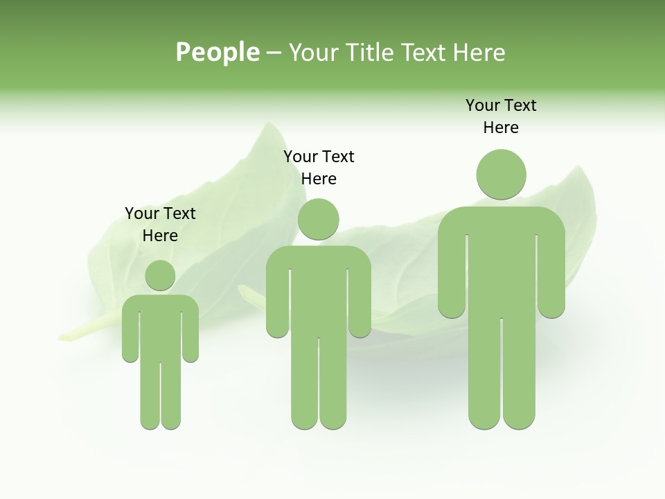 Herb Flavor Fresh PowerPoint Template