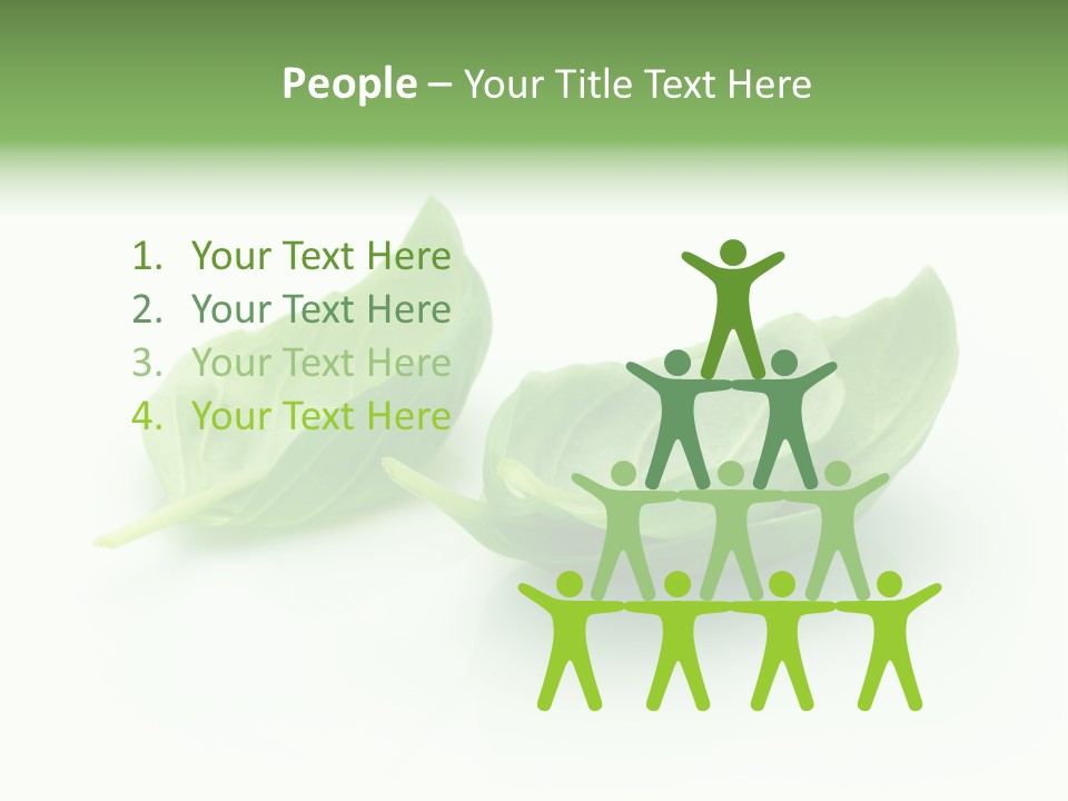Herb Flavor Fresh PowerPoint Template