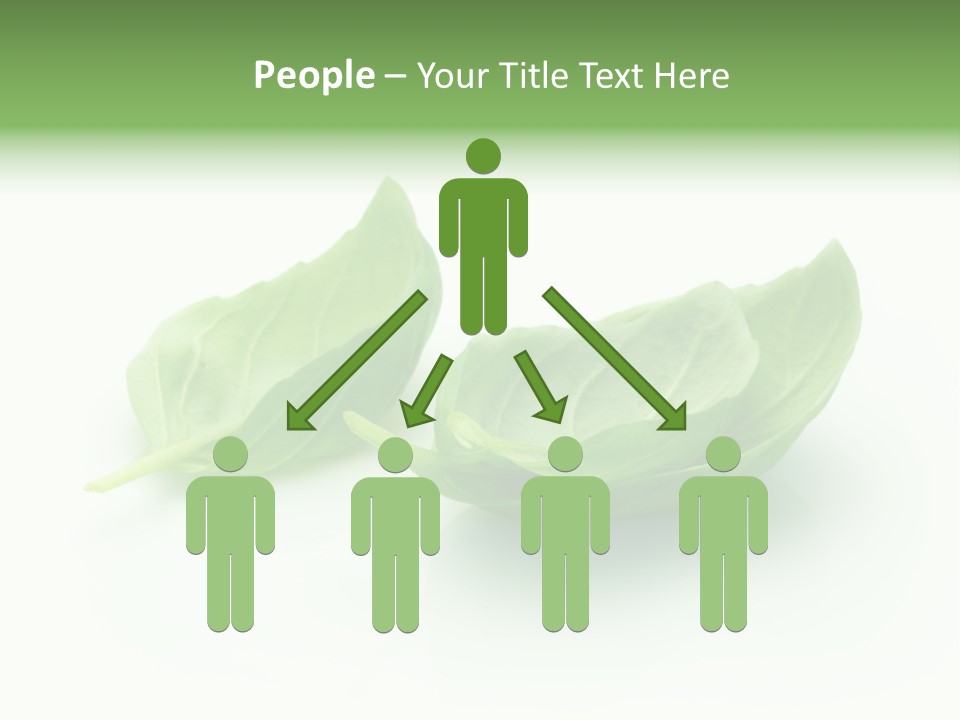 Herb Flavor Fresh PowerPoint Template