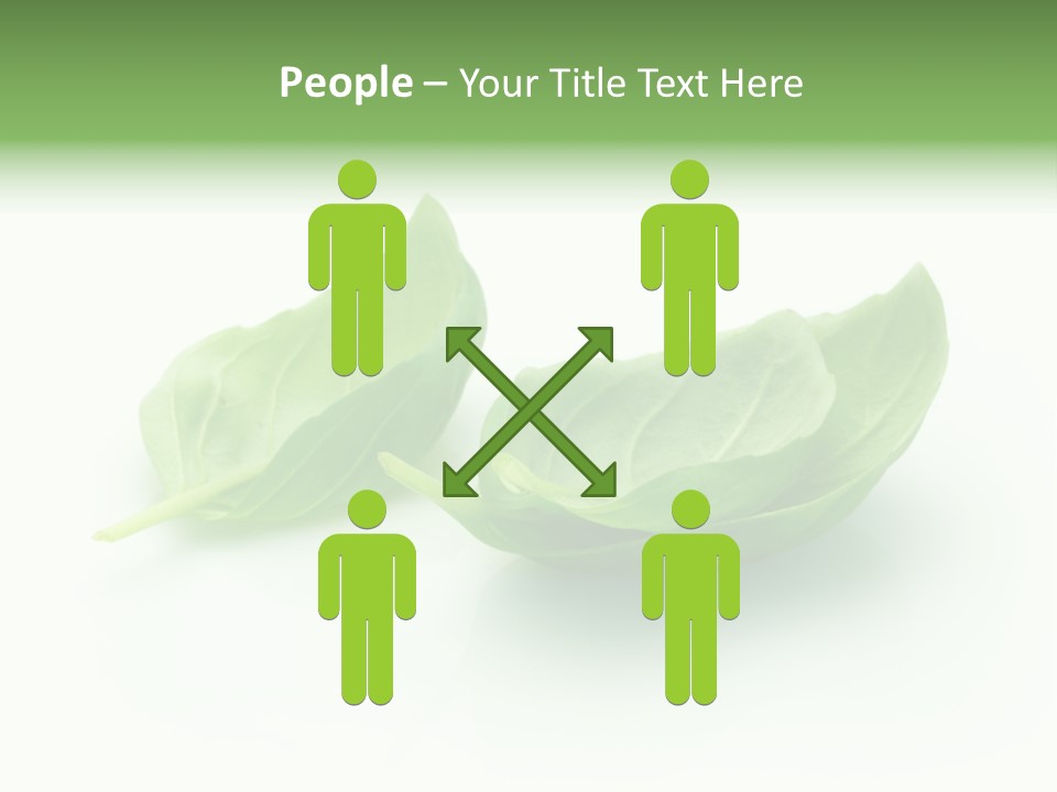 Herb Flavor Fresh PowerPoint Template