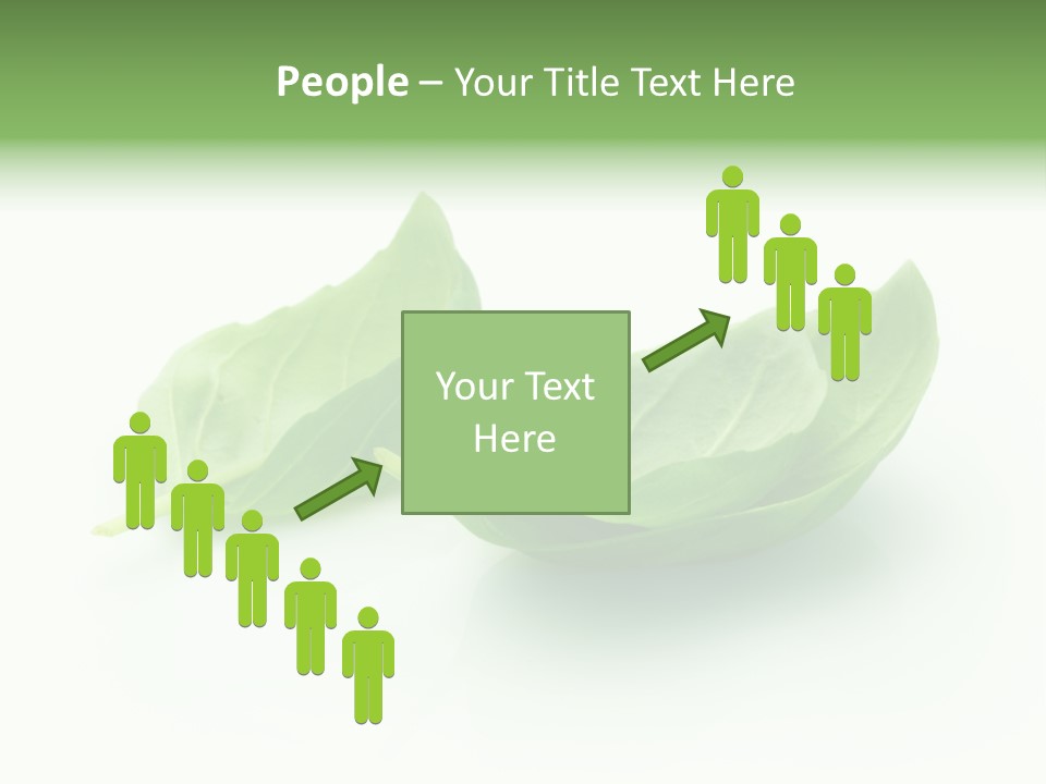 Herb Flavor Fresh PowerPoint Template