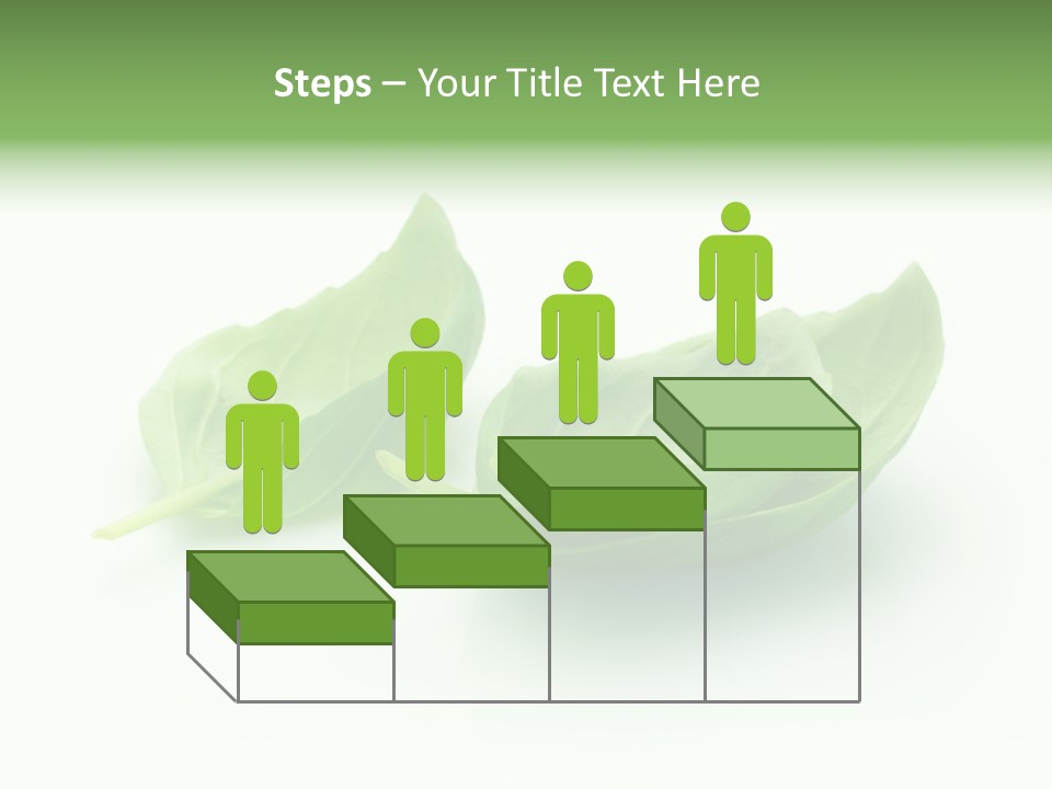 Herb Flavor Fresh PowerPoint Template