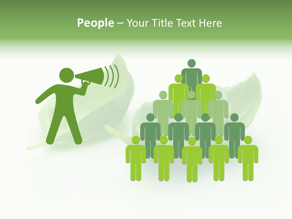 Herb Flavor Fresh PowerPoint Template