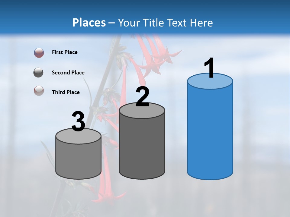 Flower Fire Ipomopsis Aggregata PowerPoint Template