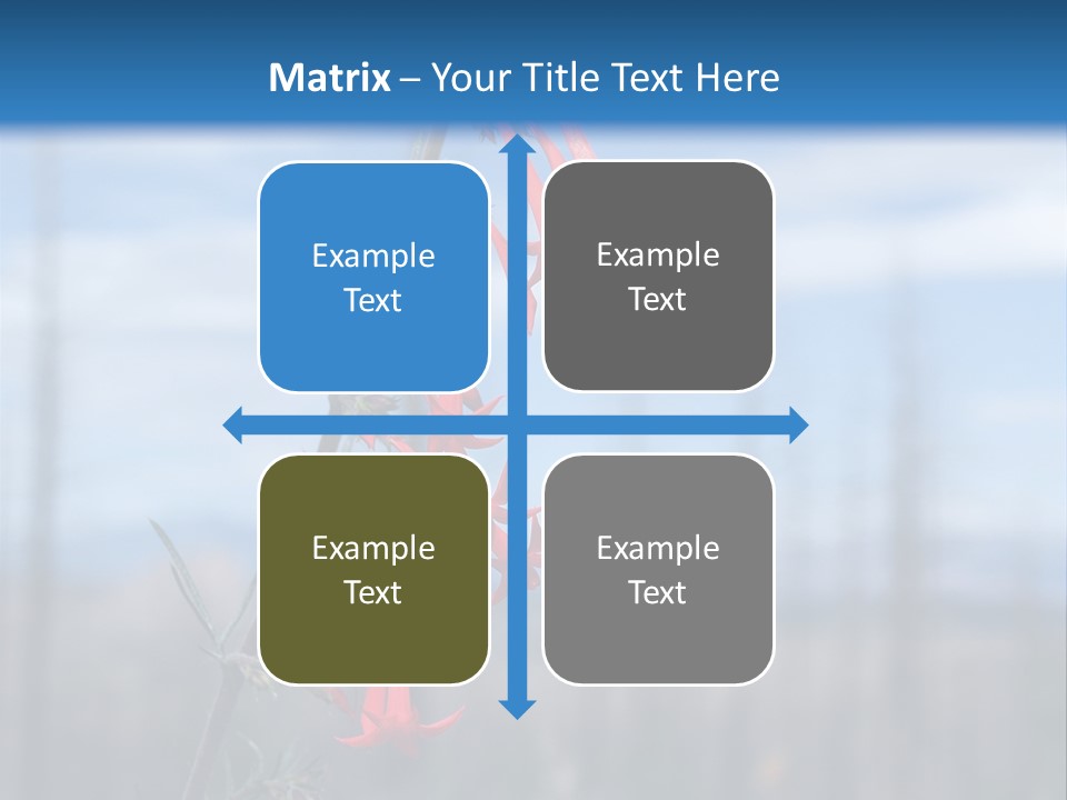 Flower Fire Ipomopsis Aggregata PowerPoint Template