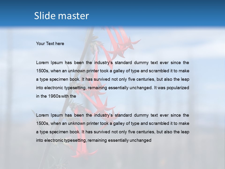 Flower Fire Ipomopsis Aggregata PowerPoint Template