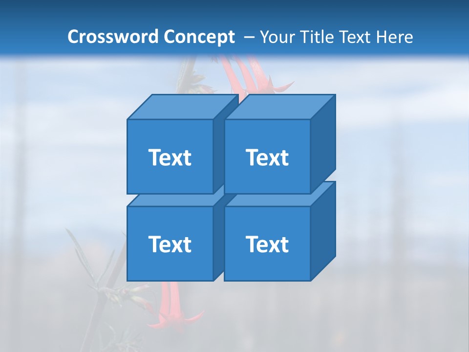 Flower Fire Ipomopsis Aggregata PowerPoint Template