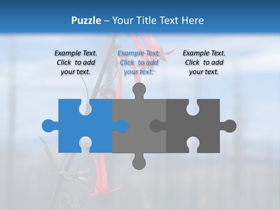 Flower Fire Ipomopsis Aggregata PowerPoint Template