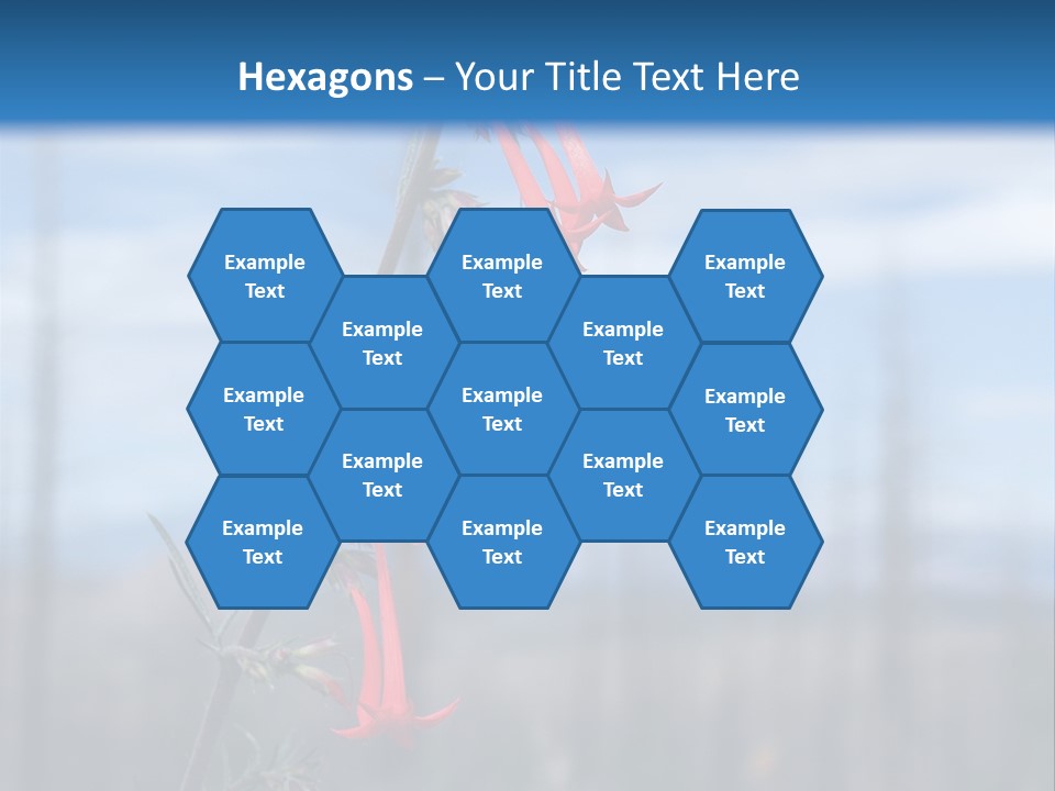 Flower Fire Ipomopsis Aggregata PowerPoint Template