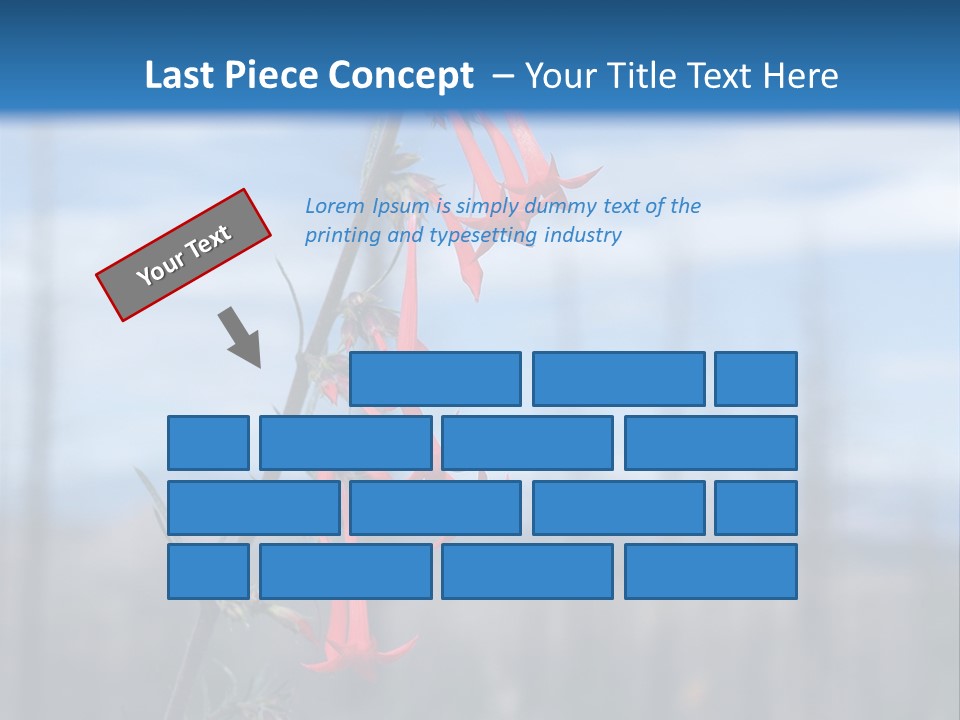 Flower Fire Ipomopsis Aggregata PowerPoint Template