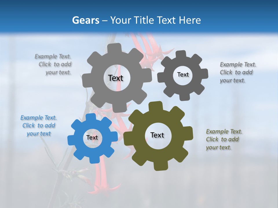 Flower Fire Ipomopsis Aggregata PowerPoint Template