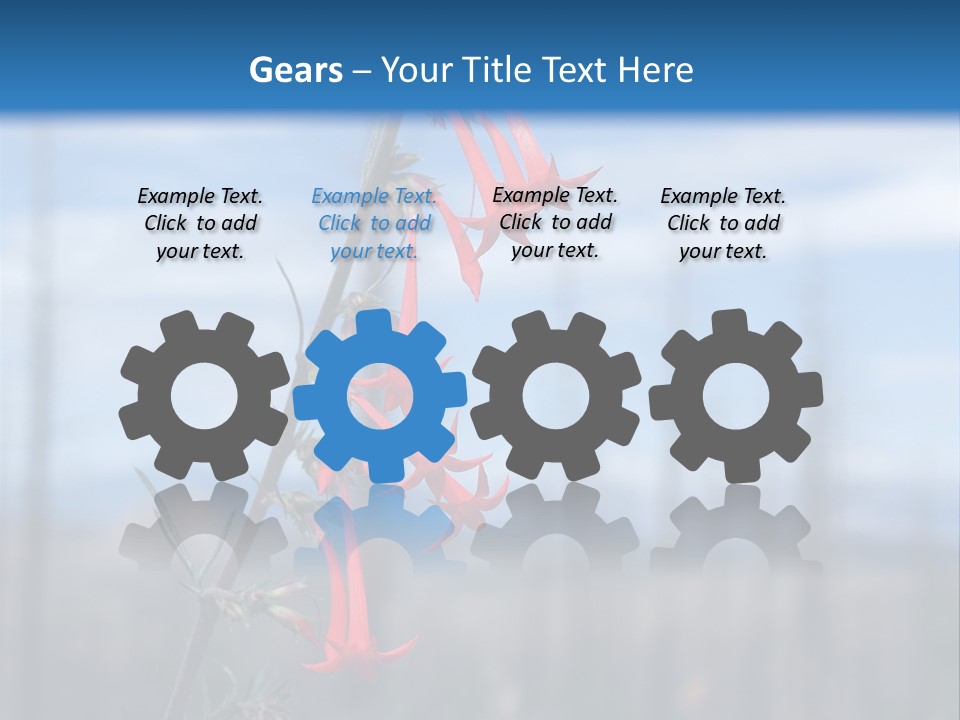 Flower Fire Ipomopsis Aggregata PowerPoint Template