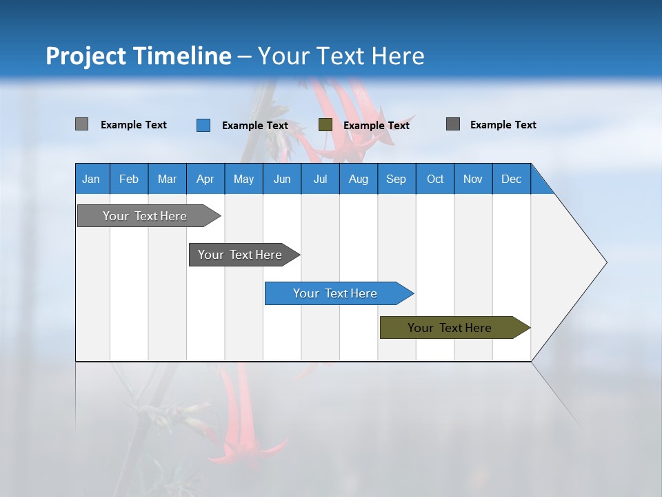 Flower Fire Ipomopsis Aggregata PowerPoint Template