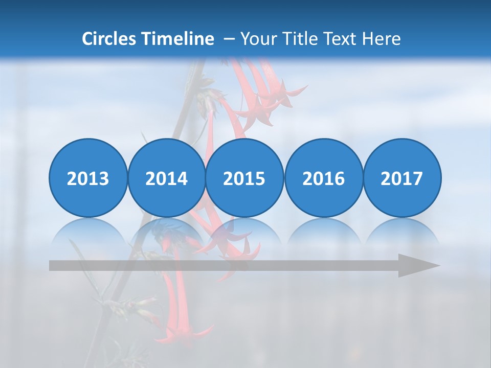 Flower Fire Ipomopsis Aggregata PowerPoint Template
