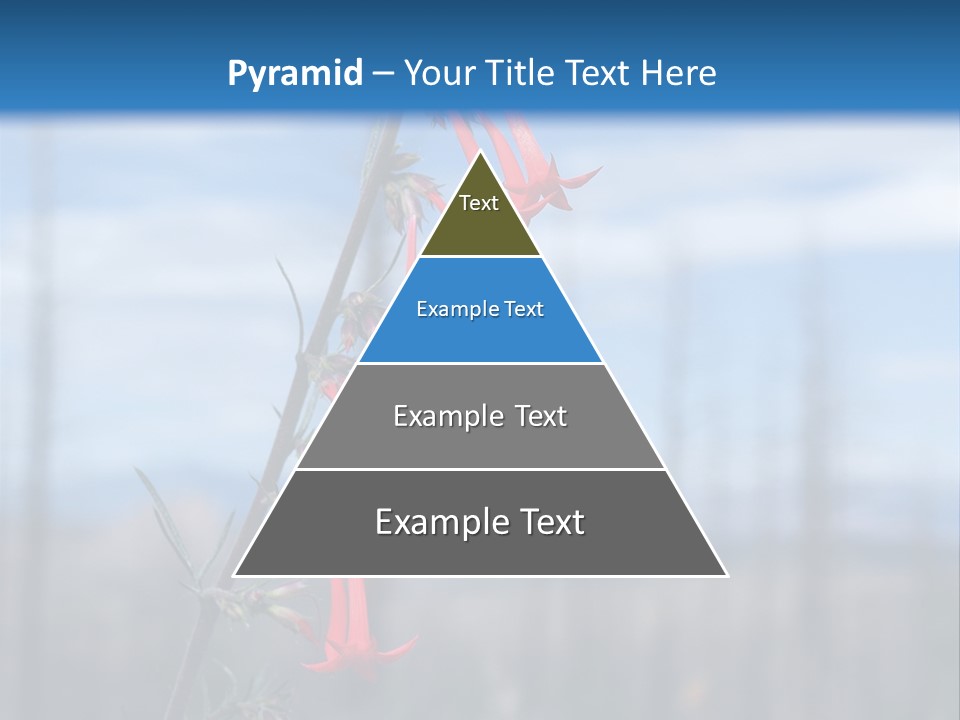 Flower Fire Ipomopsis Aggregata PowerPoint Template