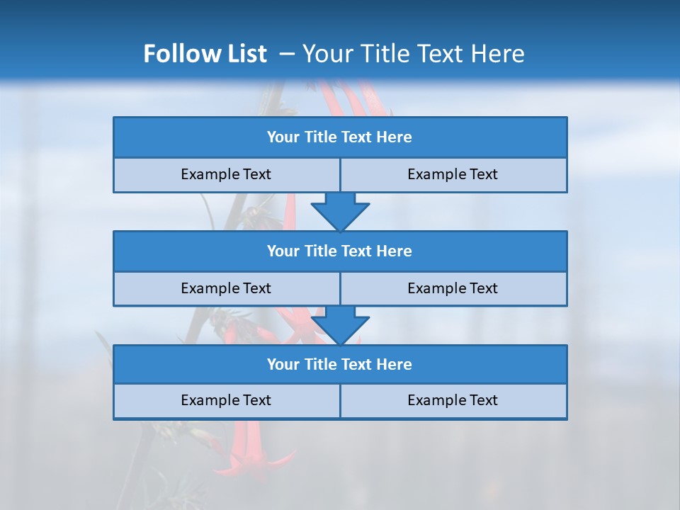 Flower Fire Ipomopsis Aggregata PowerPoint Template