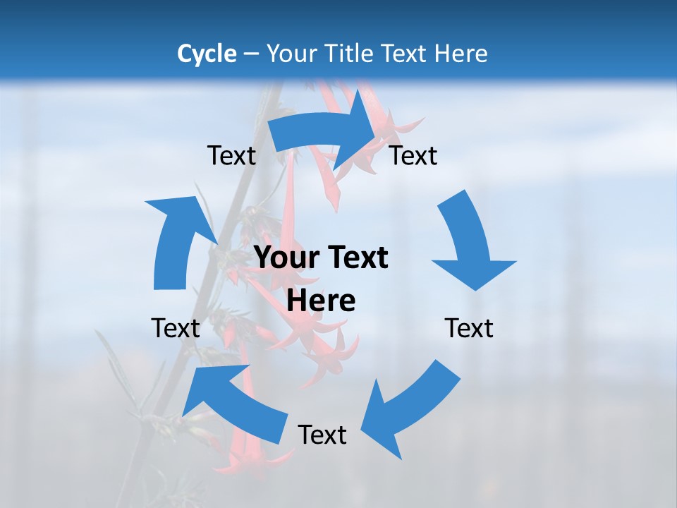 Flower Fire Ipomopsis Aggregata PowerPoint Template