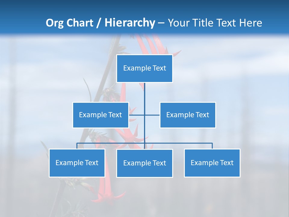 Flower Fire Ipomopsis Aggregata PowerPoint Template
