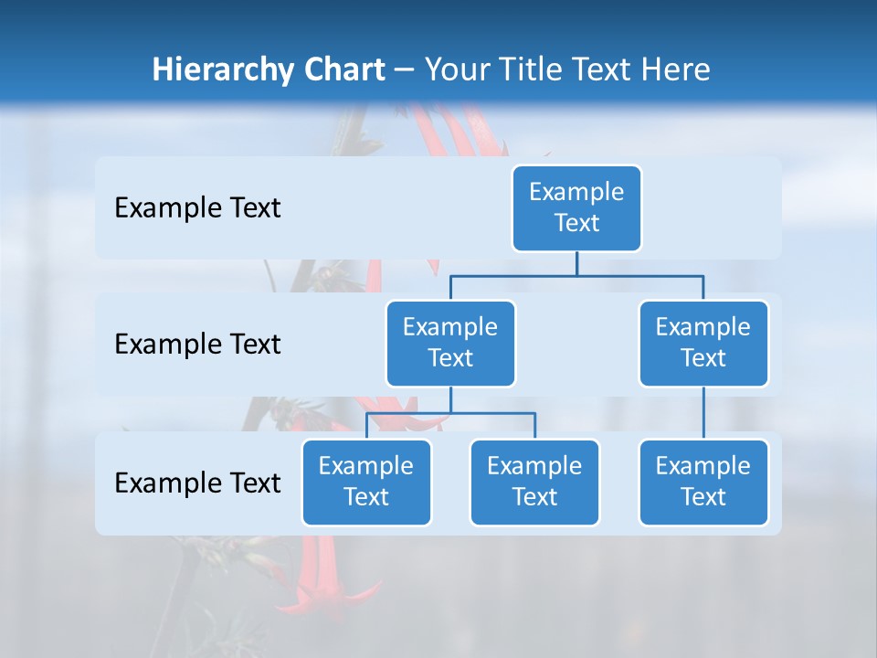Flower Fire Ipomopsis Aggregata PowerPoint Template