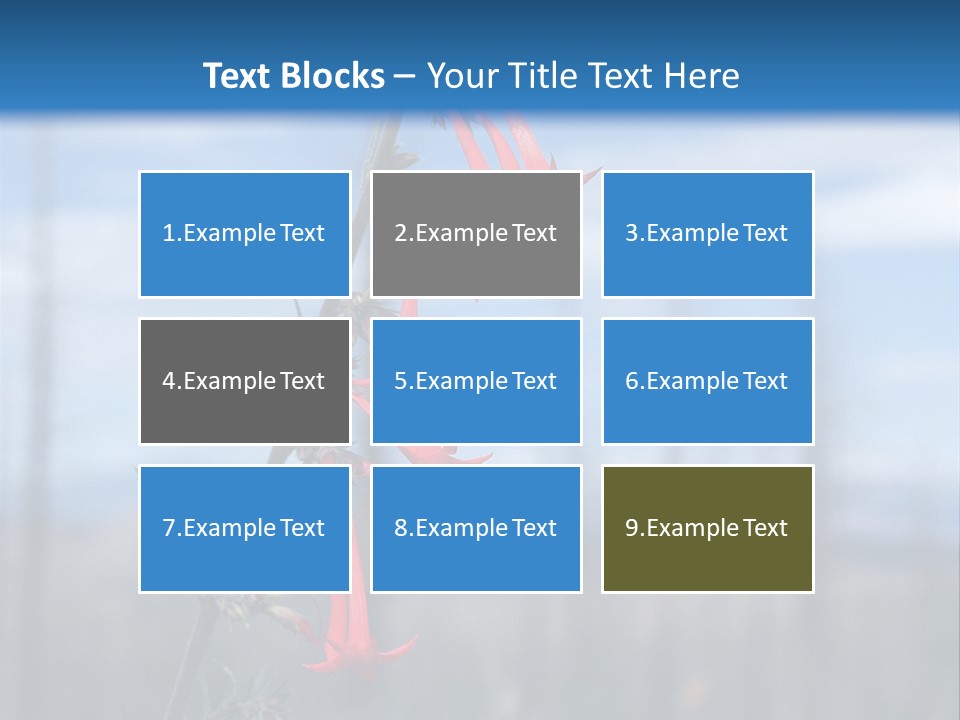 Flower Fire Ipomopsis Aggregata PowerPoint Template