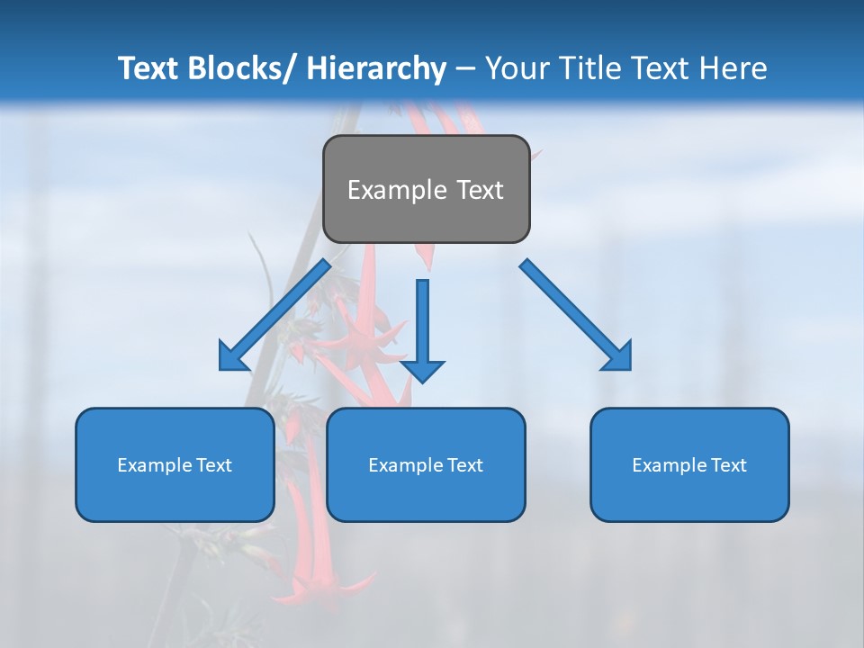 Flower Fire Ipomopsis Aggregata PowerPoint Template
